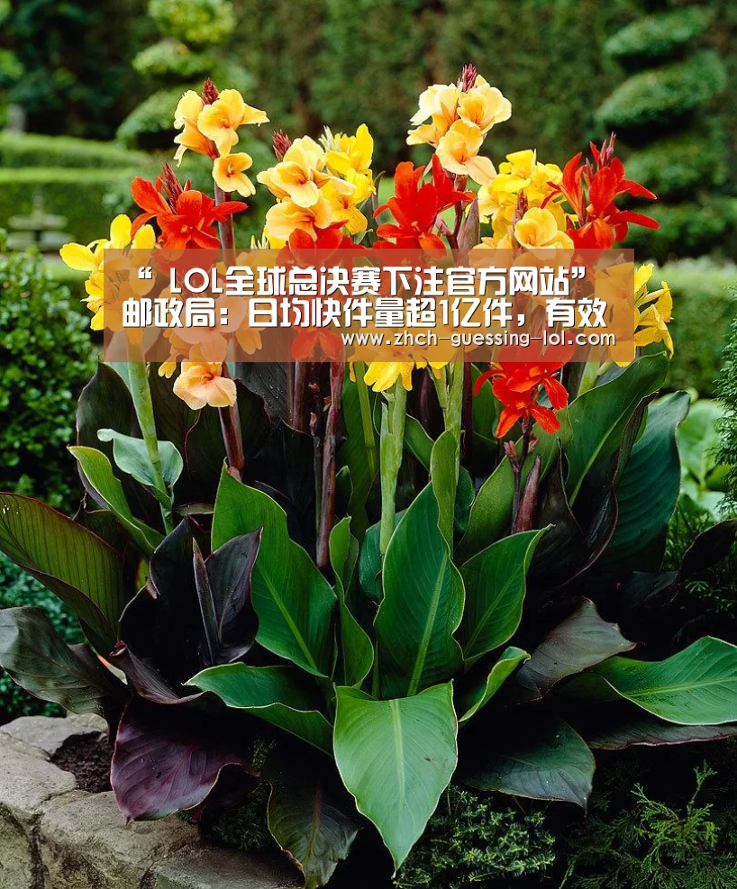 “ LOL全球总决赛下注官方网站”邮政局:日均快件量超1亿件,有效申诉率六年最低(图1) 英雄联盟竞猜大厅